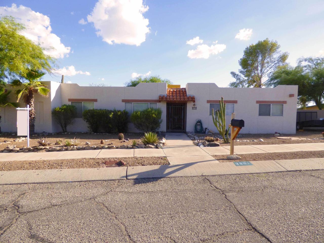 3901 Wild Horse Place - Photo 1