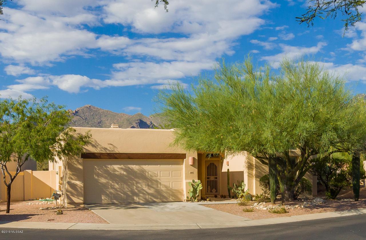 669 Squirrel Tail Drive - Photo 1
