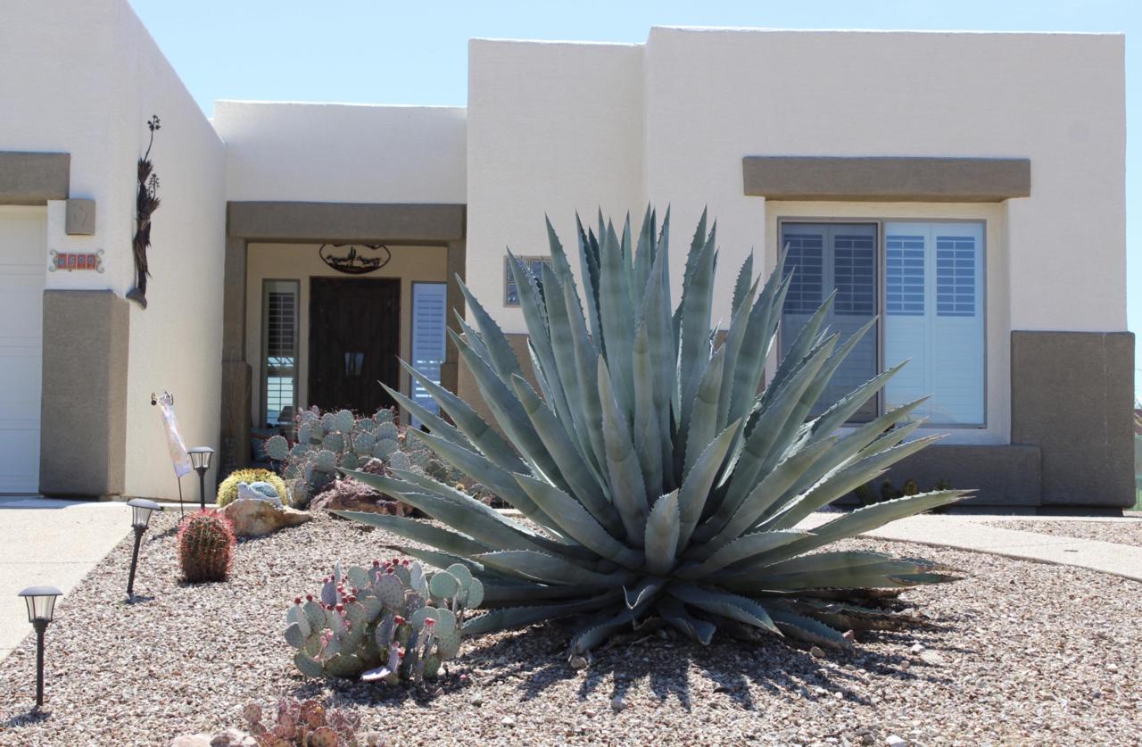 4599 Moon River Place - Photo 1