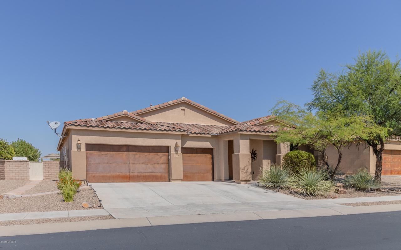 11379 Adobe Village Place - Photo 1