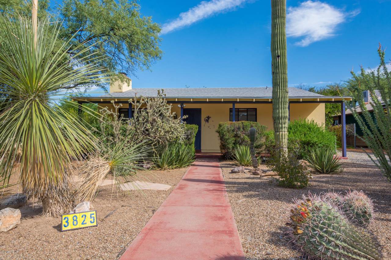 3825 Calle Guaymas - Photo 1