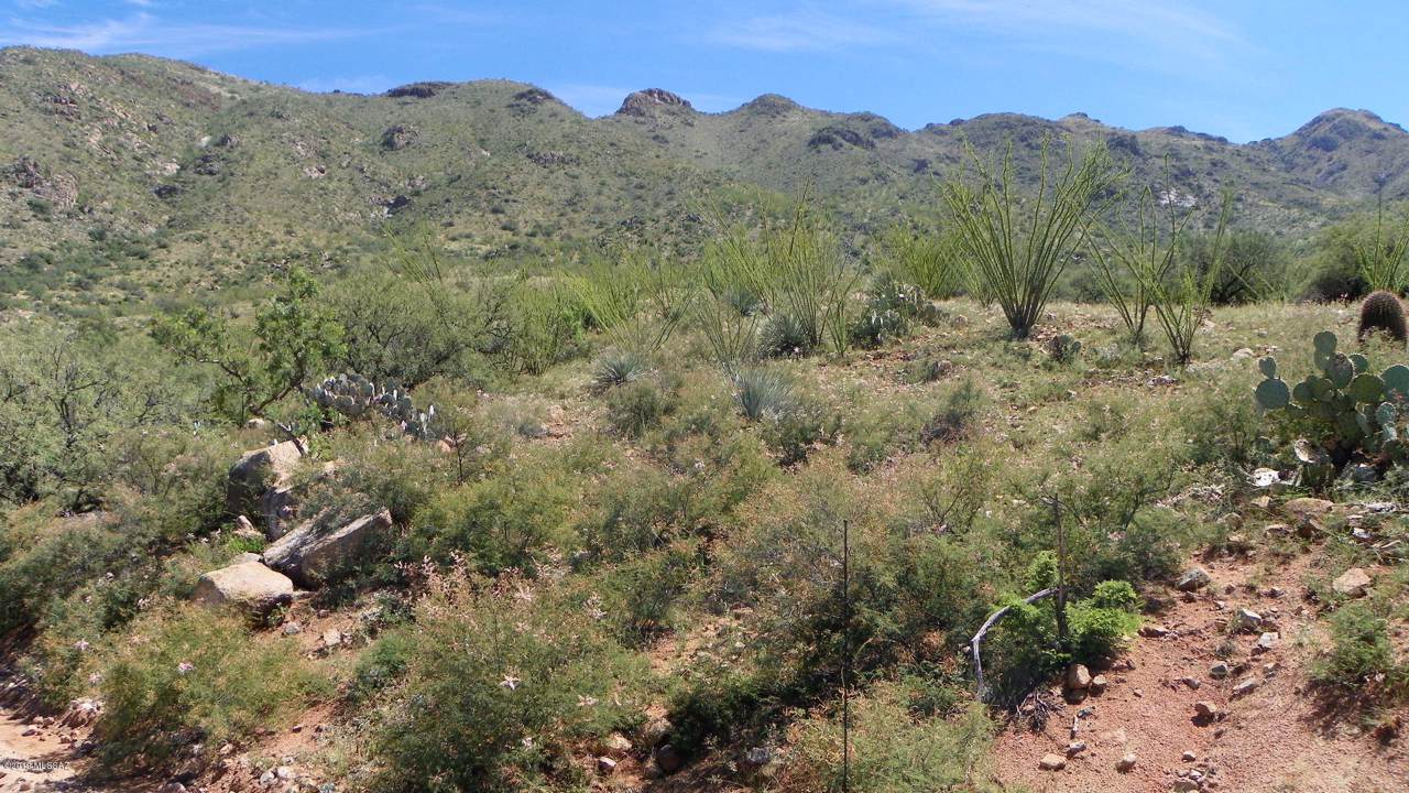 1555 Via San Cayetano - Photo 1