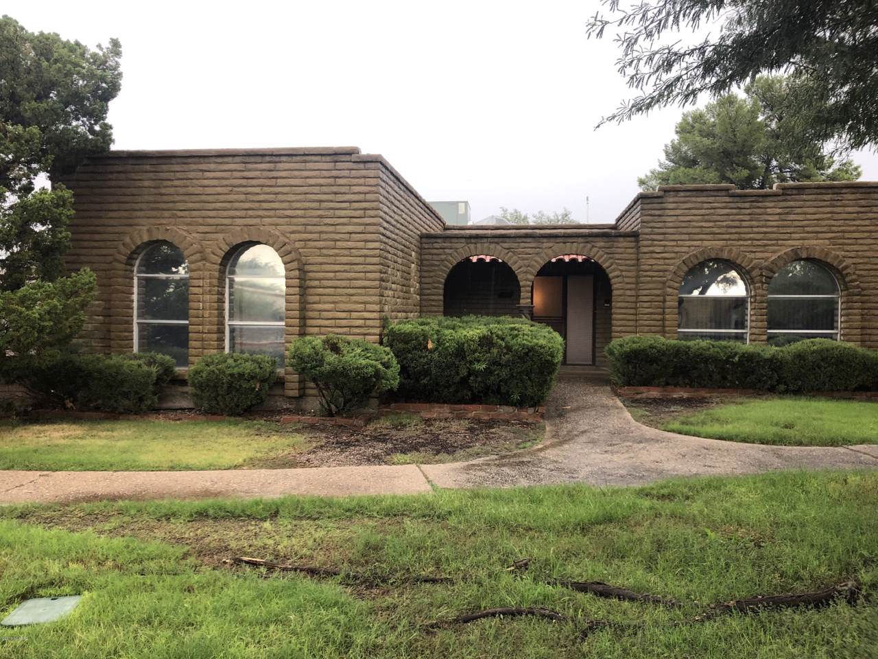 2439 Shade Tree Circle - Photo 1