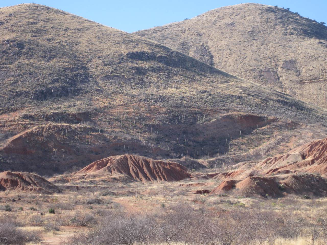 Ghost Town Trail - Photo 1