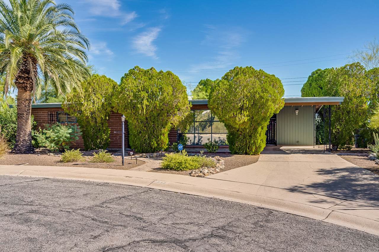 732 Avenida Calma - Photo 1
