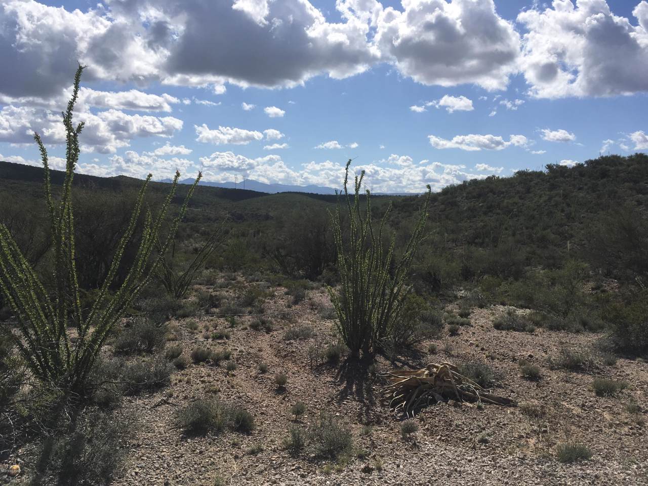 16301 Colossal Cave Road - Photo 1