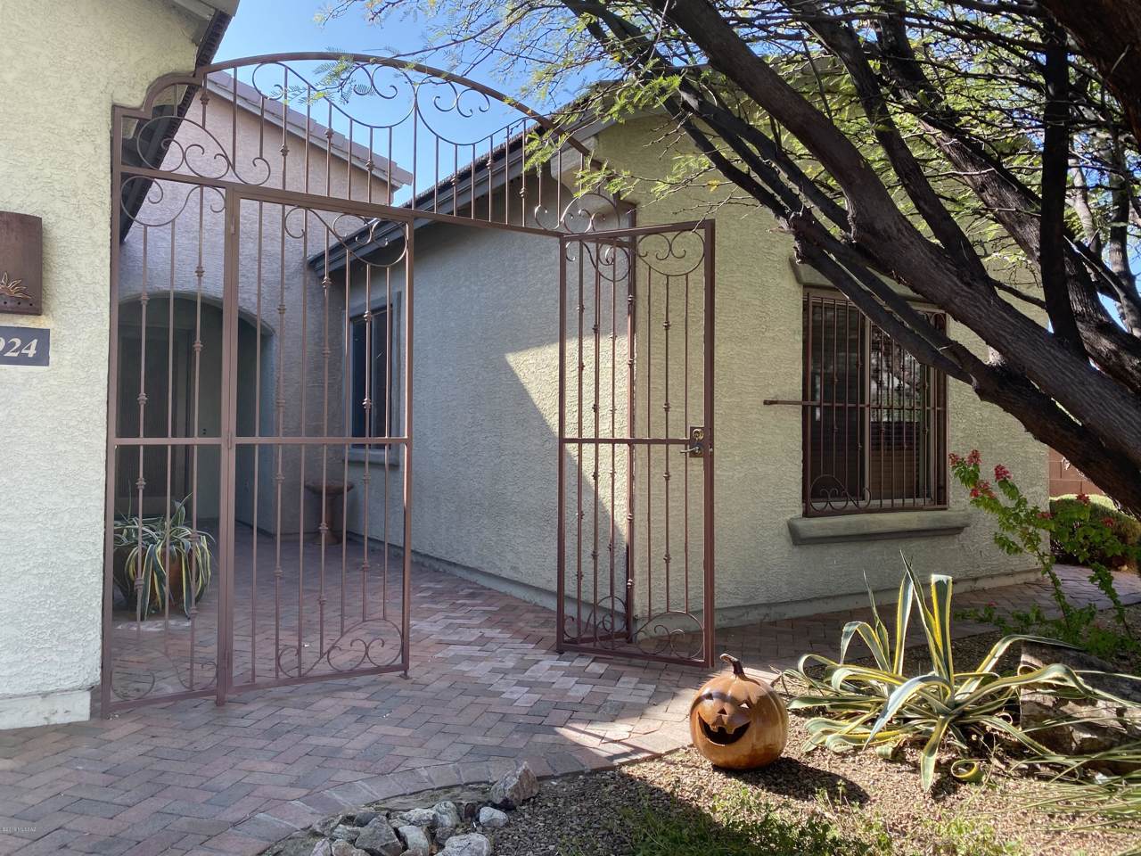9924 Caldera Place - Photo 1