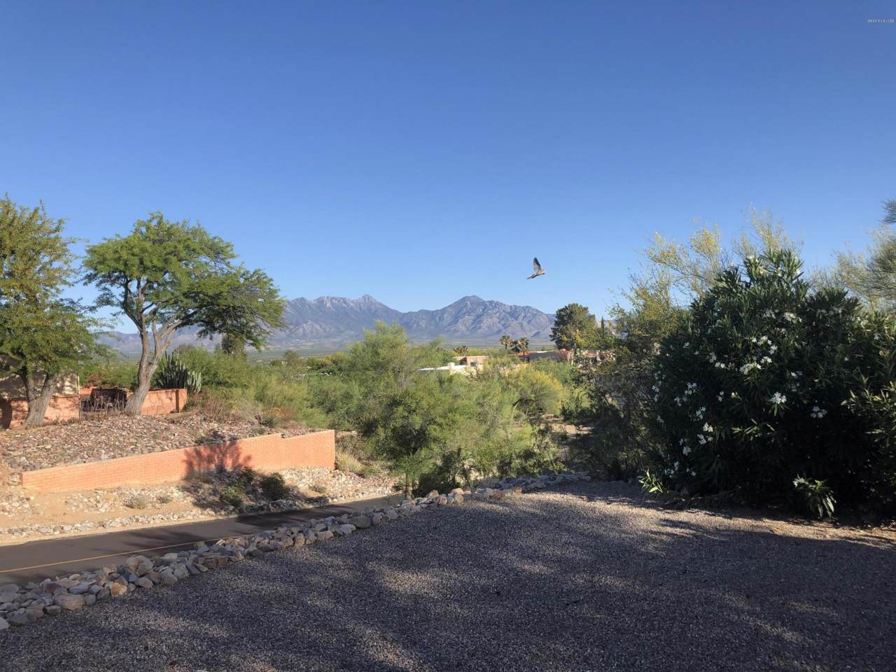 1056 Paseo Del Prado - Photo 1