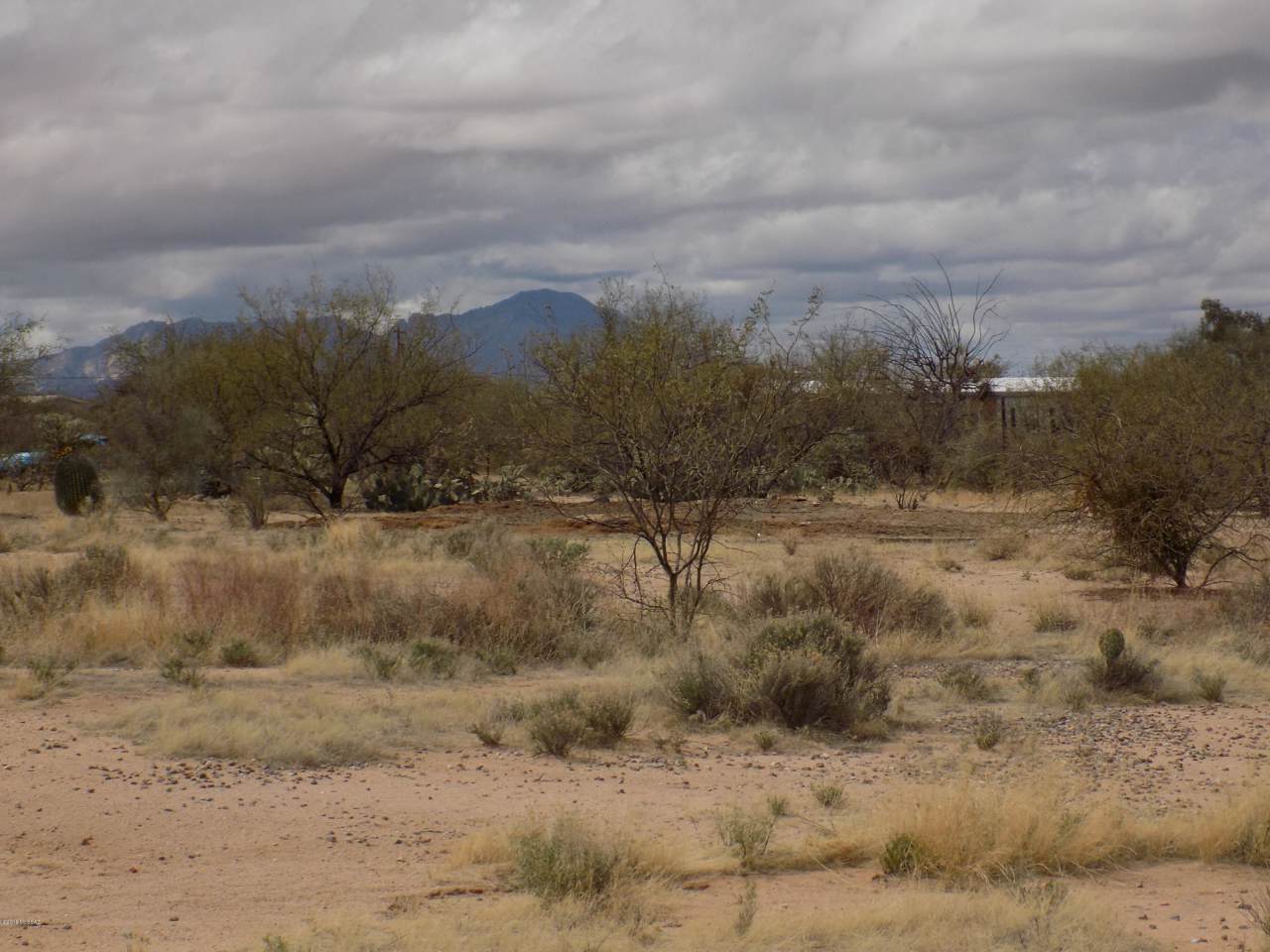 14252 Kestrel Road - Photo 1