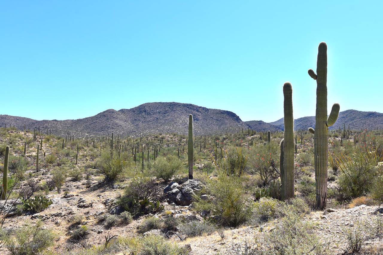Desert Ridges - Photo 1