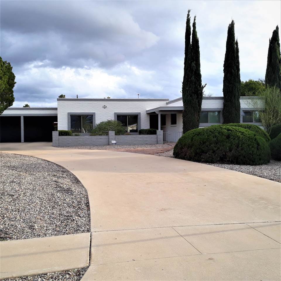 8942 Palm Tree Drive - Photo 1