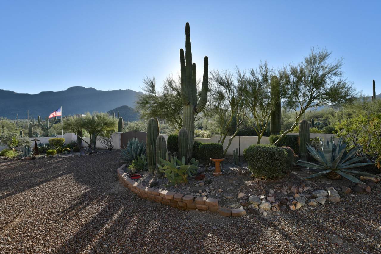 3360 Horseback Trail - Photo 1