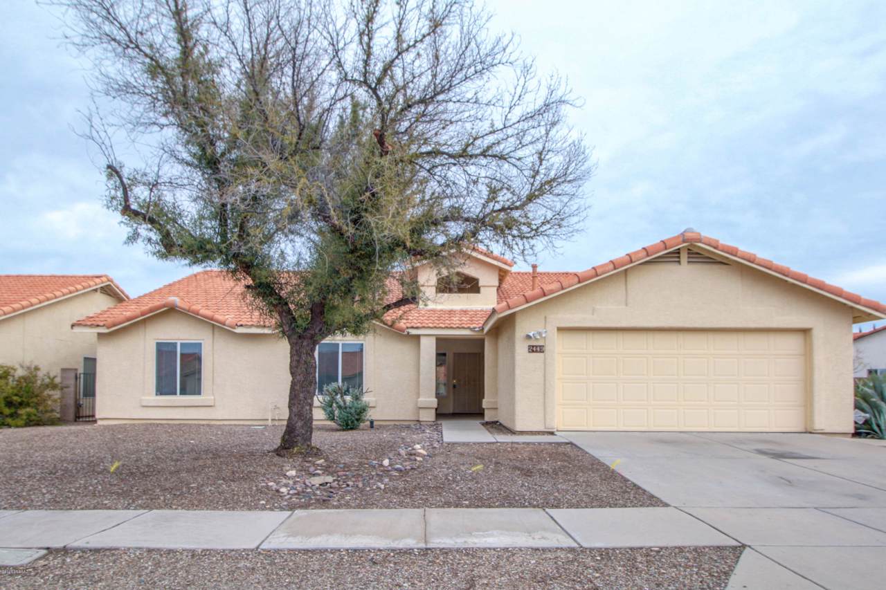 2449 Perillo Drive - Photo 1