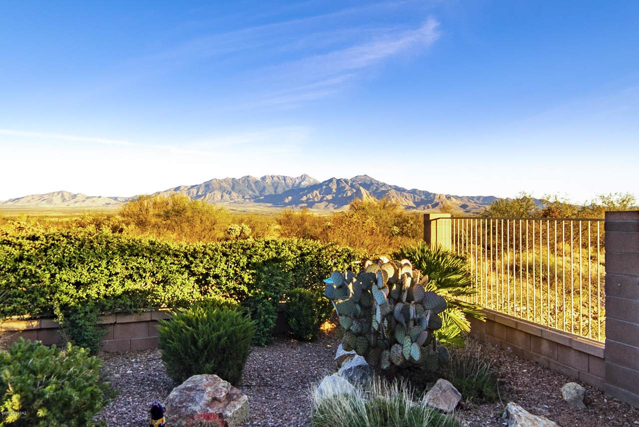 5835 Atascosa Peak Drive - Photo 1