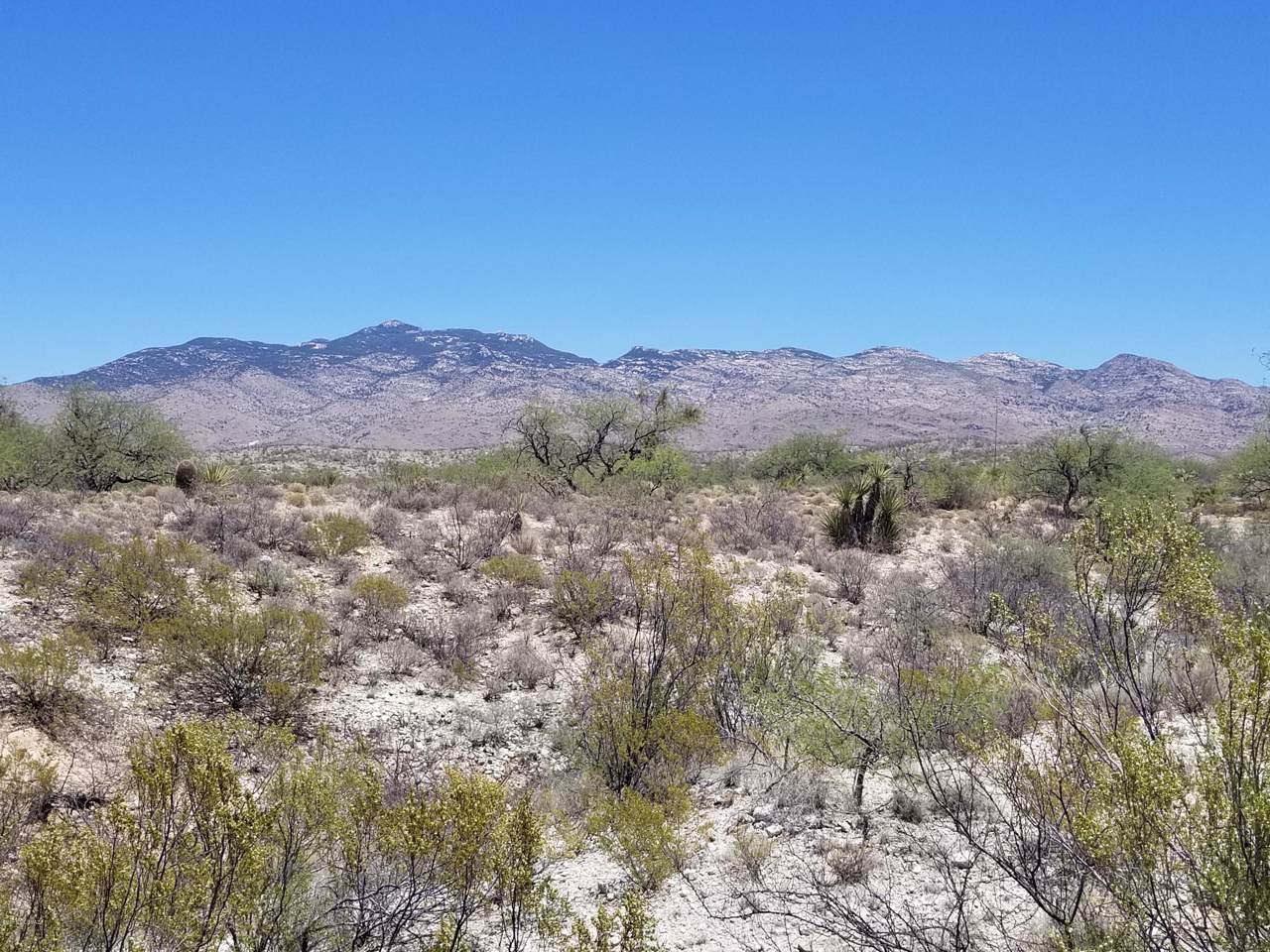 Orions Gate Way - Photo 1