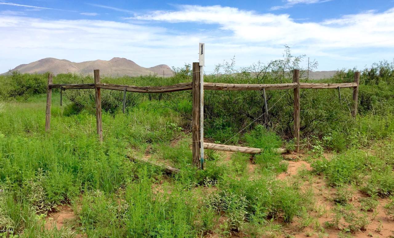 30 Ac Doe Ranch Road - Photo 1