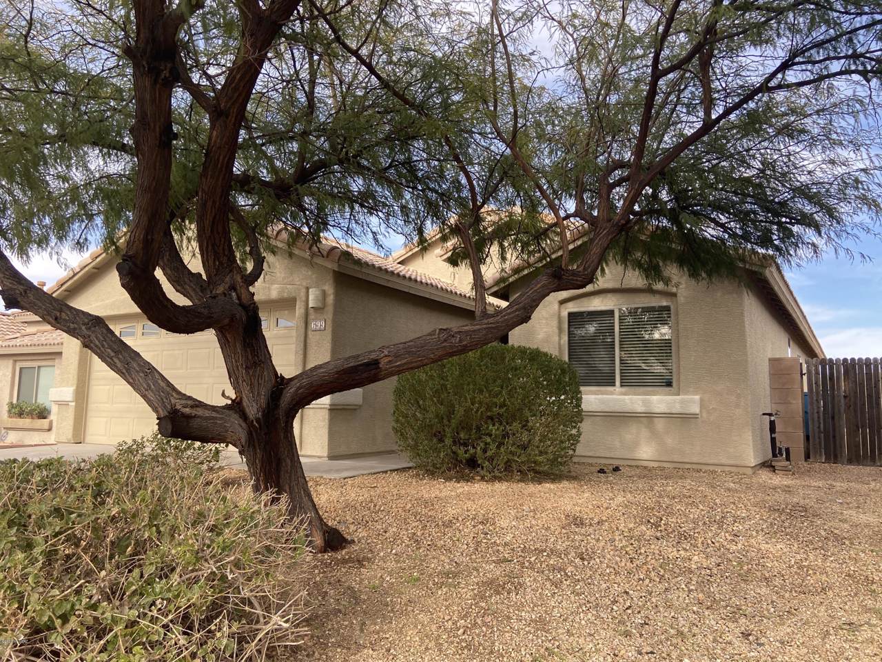 699 Painted River Way - Photo 1