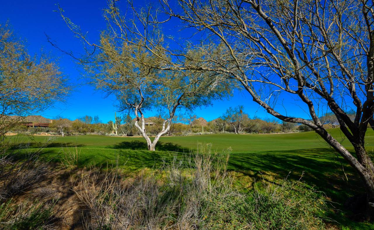 916 Tortolita Mountain Circle - Photo 1