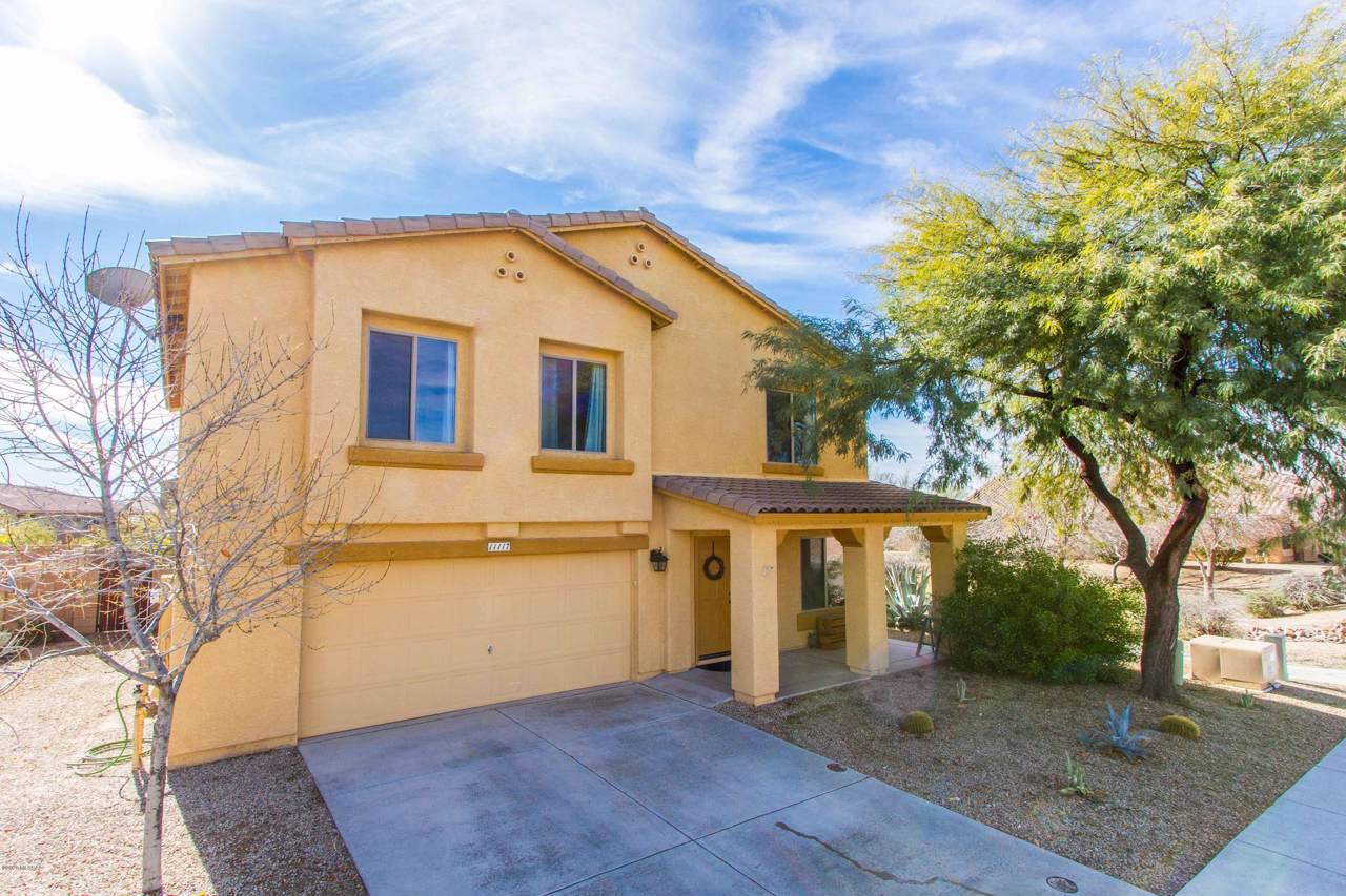11117 Tonto Basin Drive - Photo 1