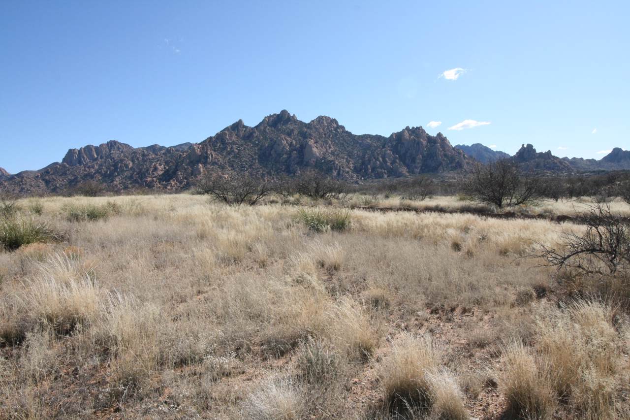 Lot 201 East Horse Ranch Road - Photo 1