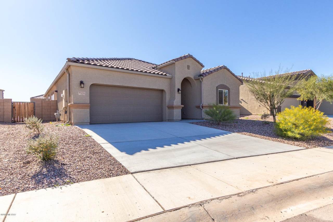 9091 Silver Cholla Drive - Photo 1 9091 Silver Cholla Drive - Photo 1
