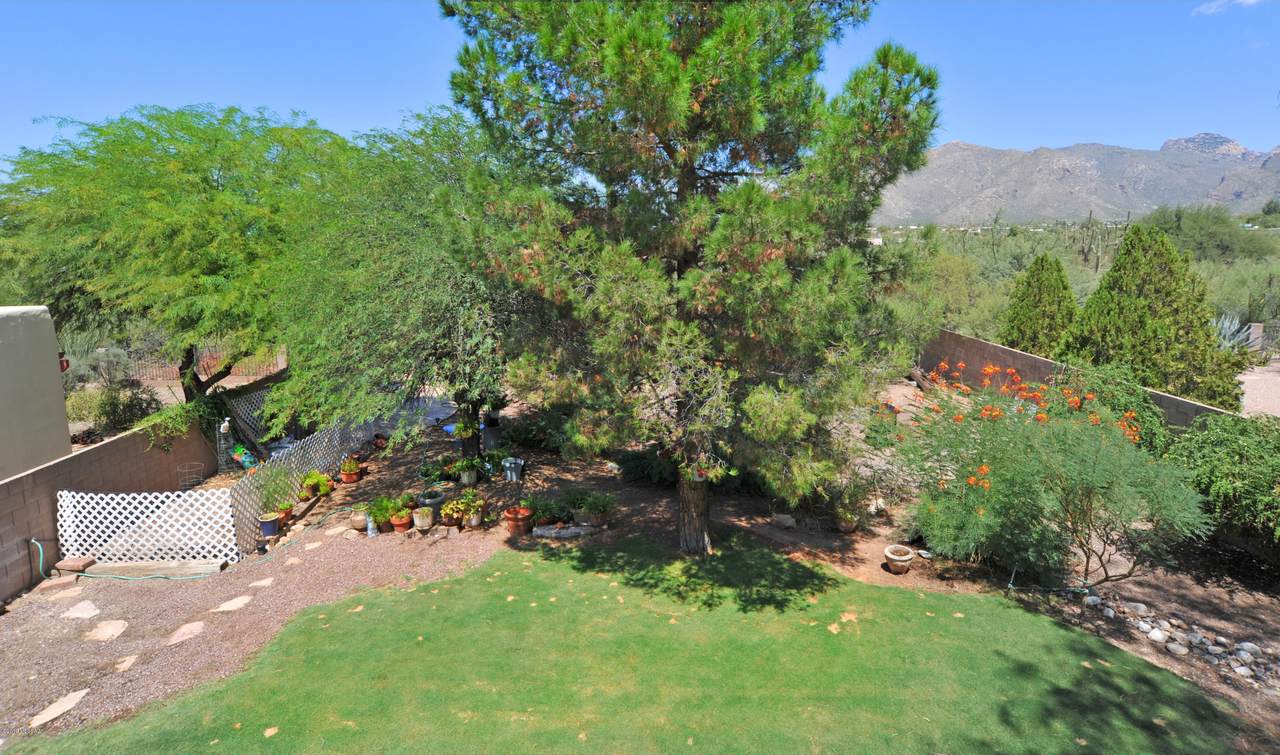 6529 Shadow Bluff Drive - Photo 1