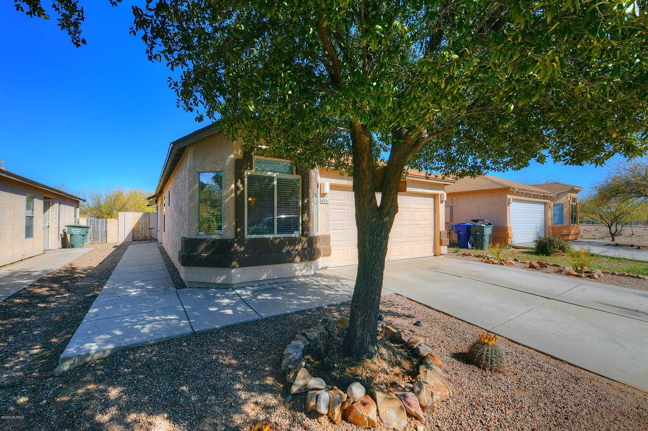 4251 Agave Desert Trail - Photo 1
