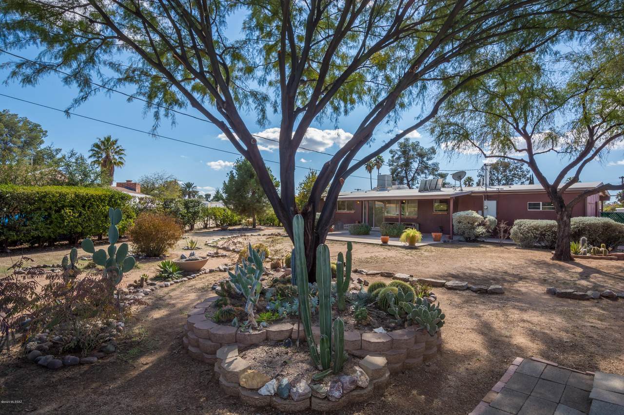 2031 Calle Cordova - Photo 1