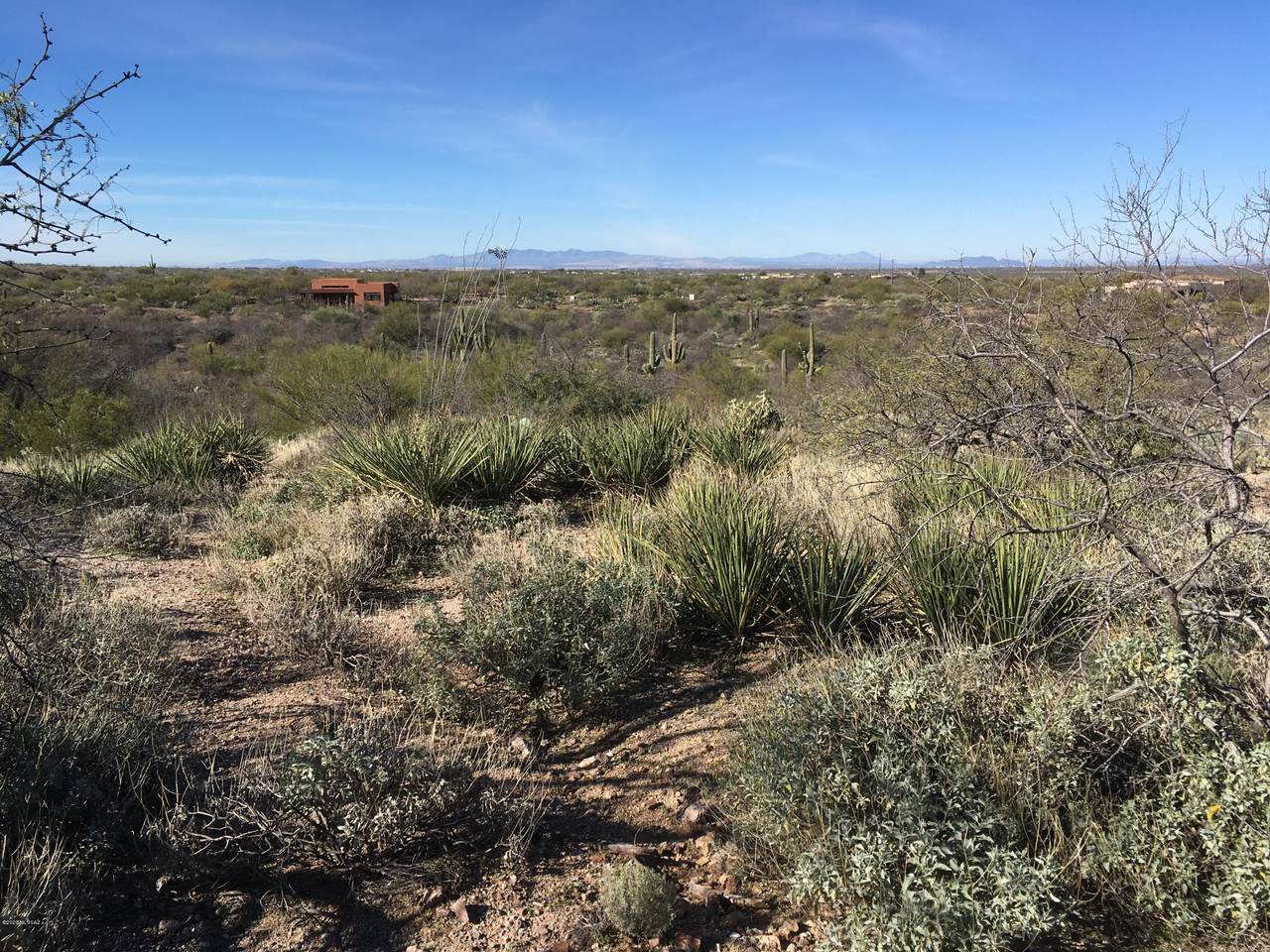 15150 Two Bar Z Ranch Place - Photo 1