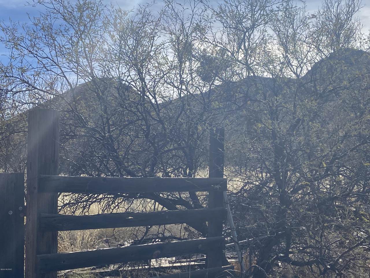 20625 Marauders Trail - Photo 1