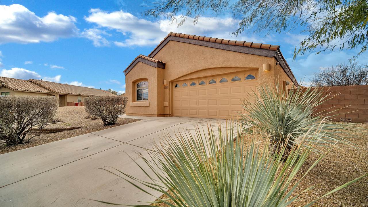 1034 Mud Spring Canyon Lane - Photo 1