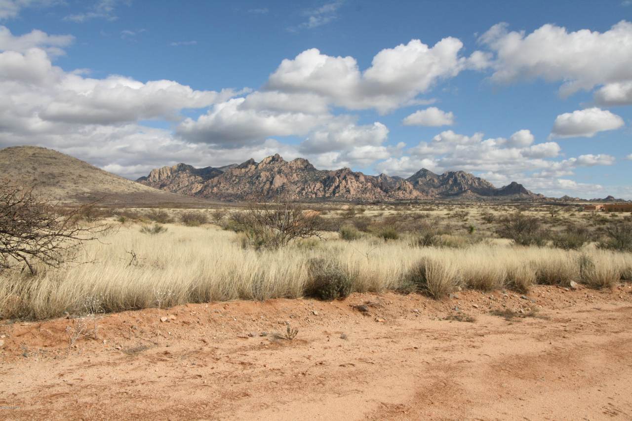Lot 20 Mule Deer Trail - Photo 1