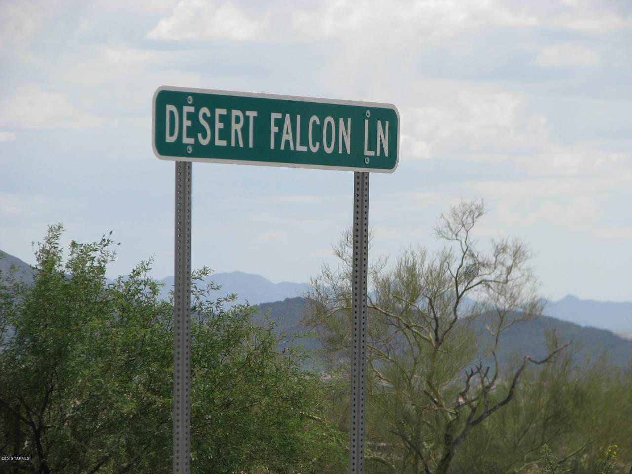 5344 Desert Falcon Lane - Photo 1