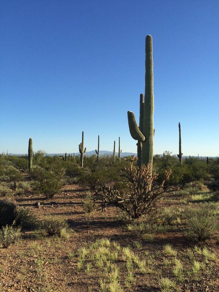 11715 Tortoise Trail - Photo 1 11715 Tortoise Trail - Photo 1