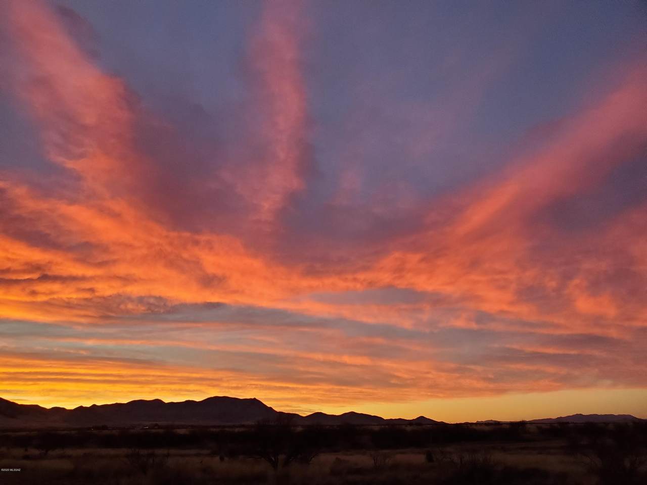 1 Lot (.83 Ac)- Justin & Willcox Road - Photo 1