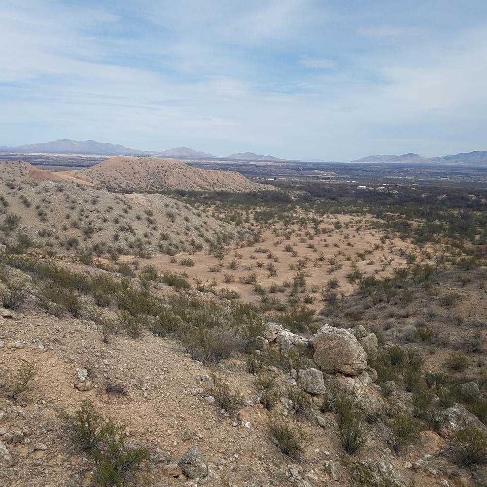 Rabbit Trail - Photo 1