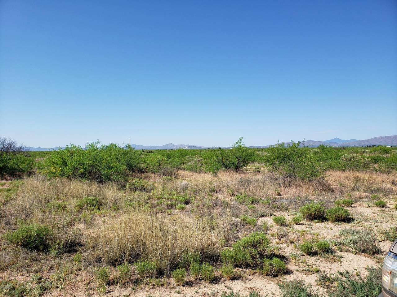 TBD 26.80a Mcbride Road - Photo 1