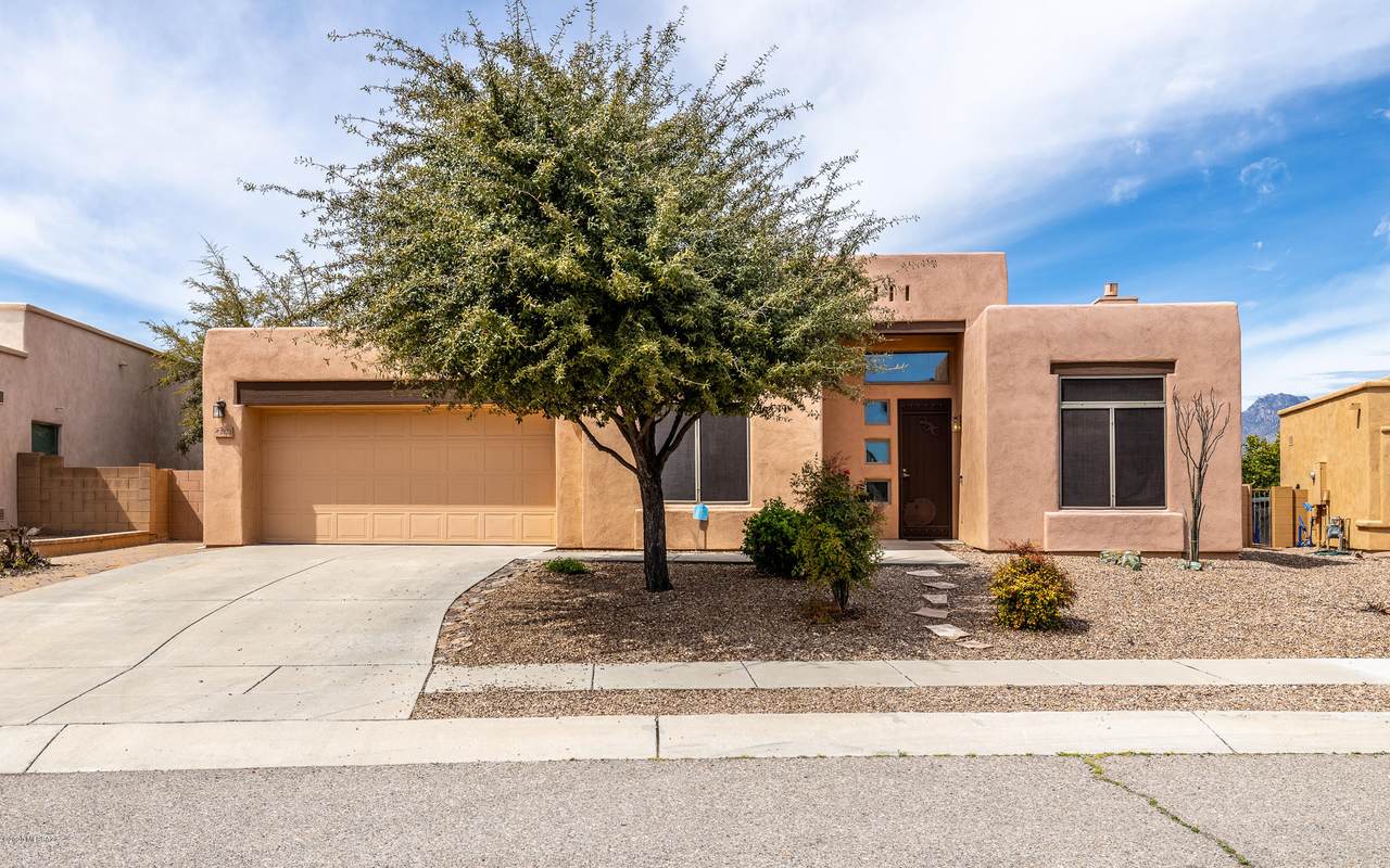 1323 Golden Palomino Place - Photo 1 1323 Golden Palomino Place - Photo 1