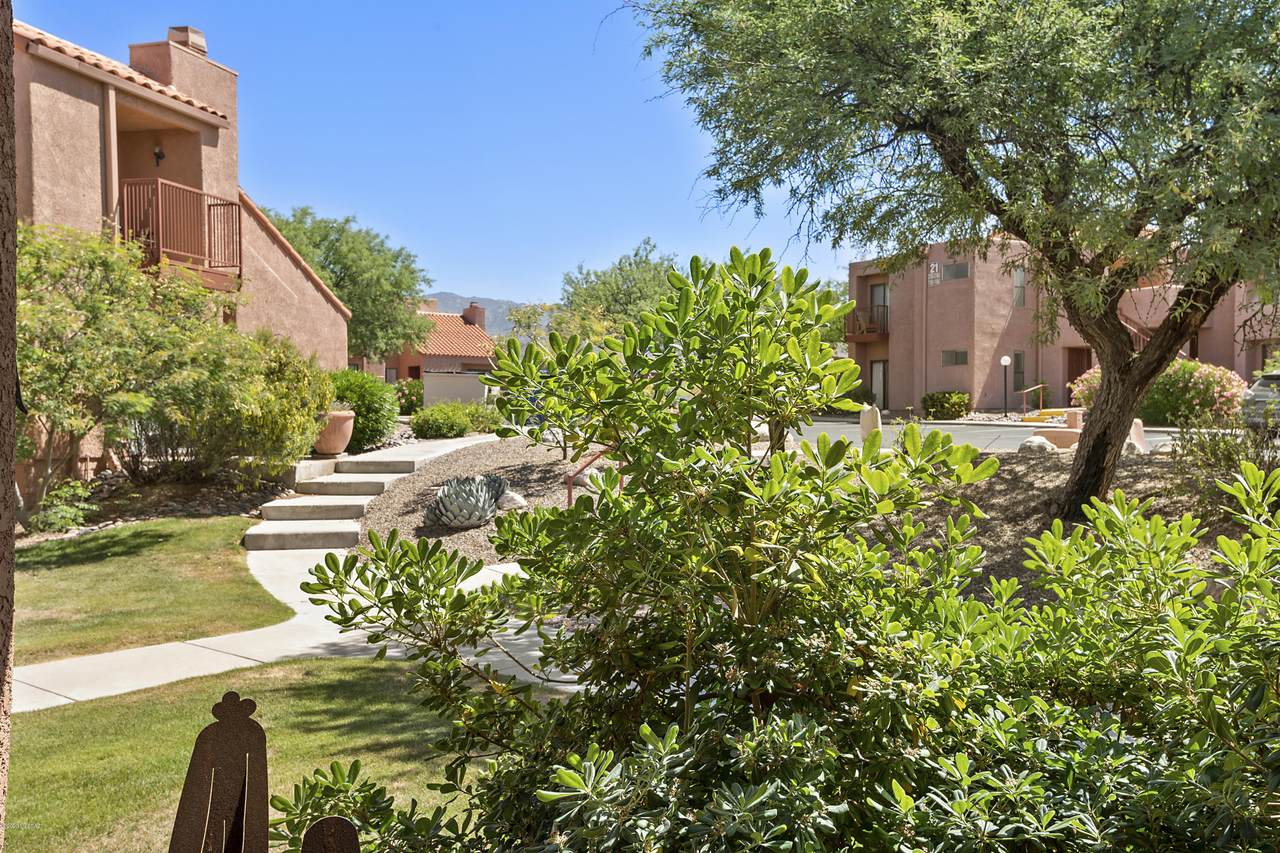 5051 Sabino Canyon Road - Photo 1 5051 Sabino Canyon Road - Photo 1