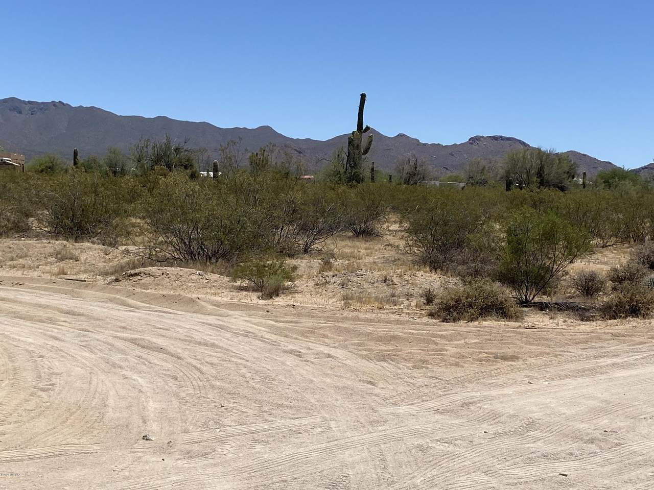 12417 Nolen Road - Photo 1