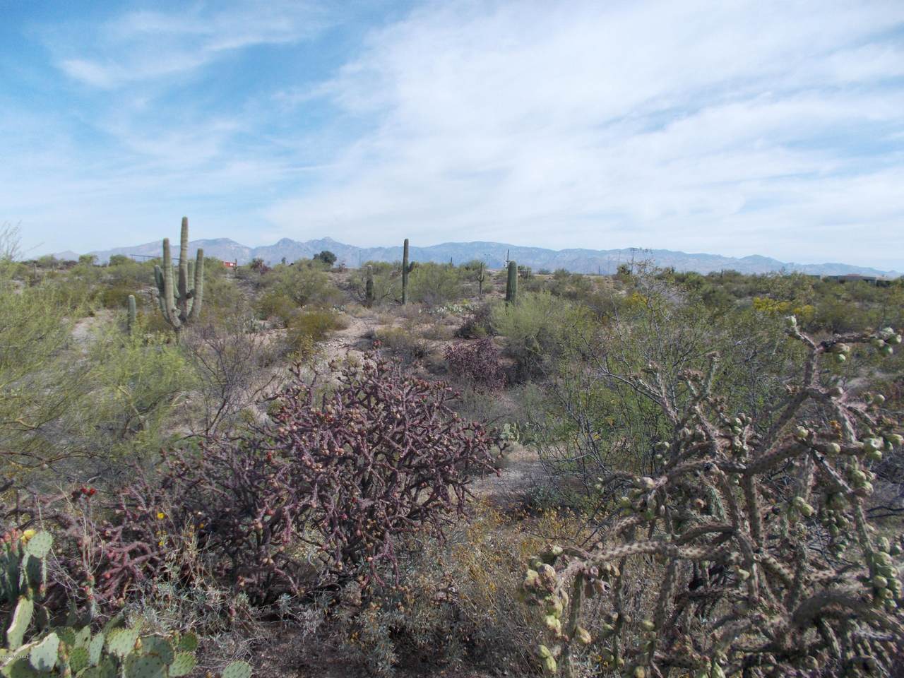 11150 Pantano Trail - Photo 1