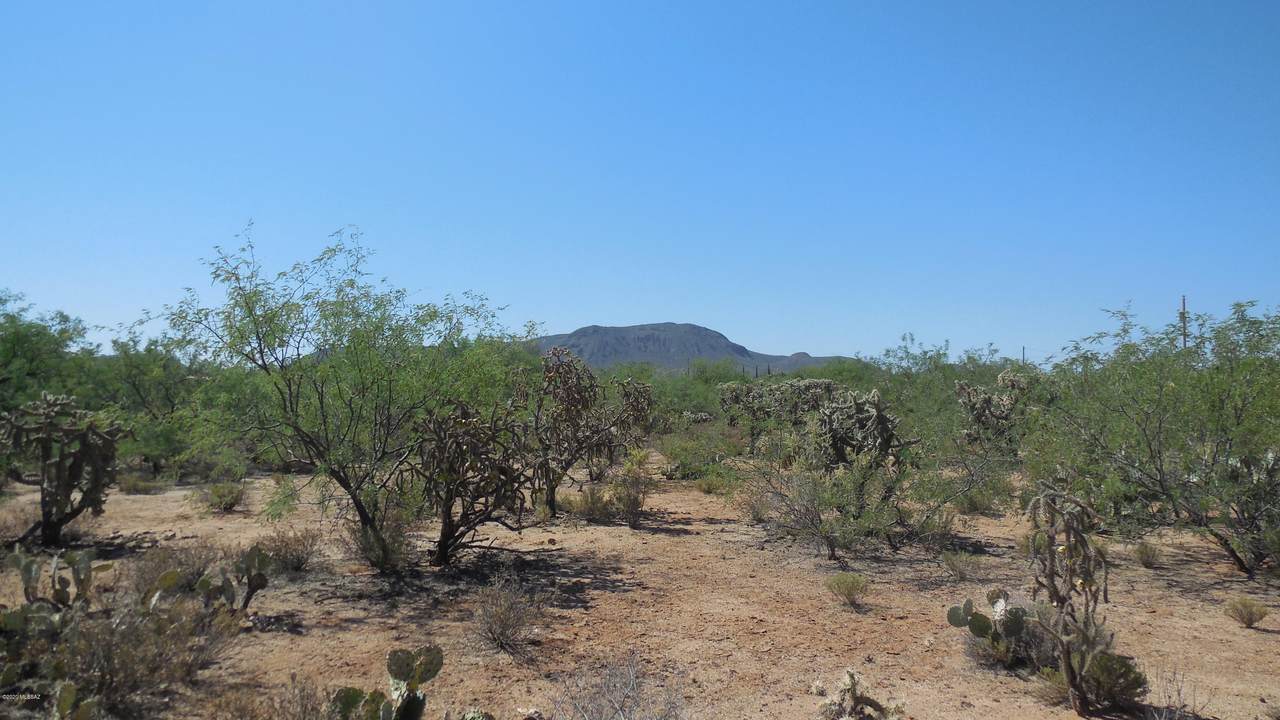 0000 Elvado Road - Photo 1