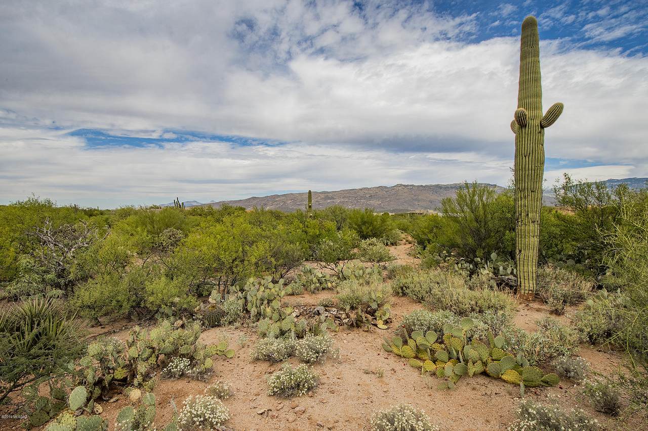8616 Sun Bar Ranch Place - Photo 1