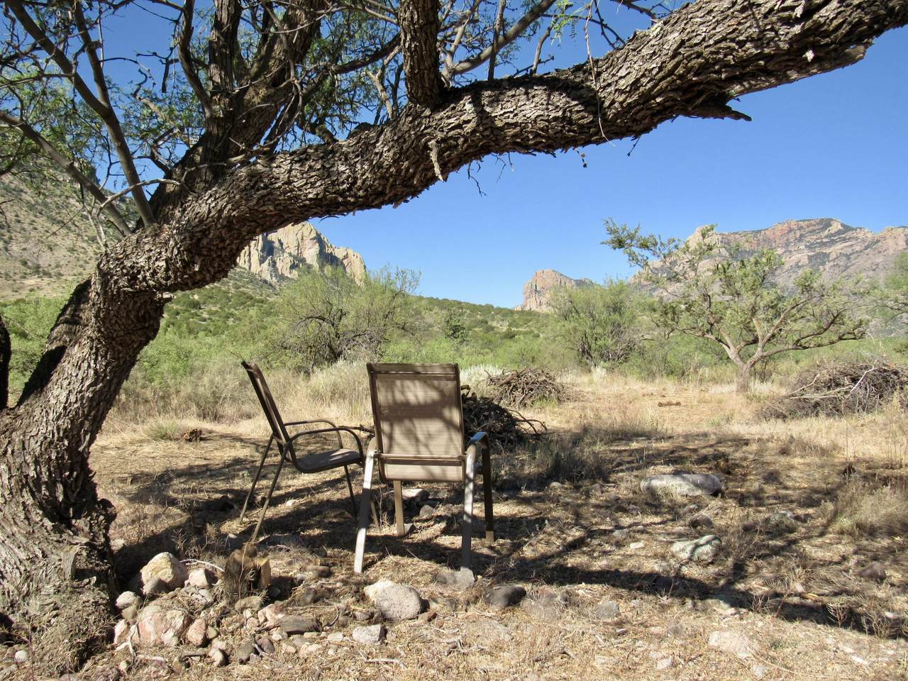 4 Acres Hatari Ln & Portal Rd - Photo 1
