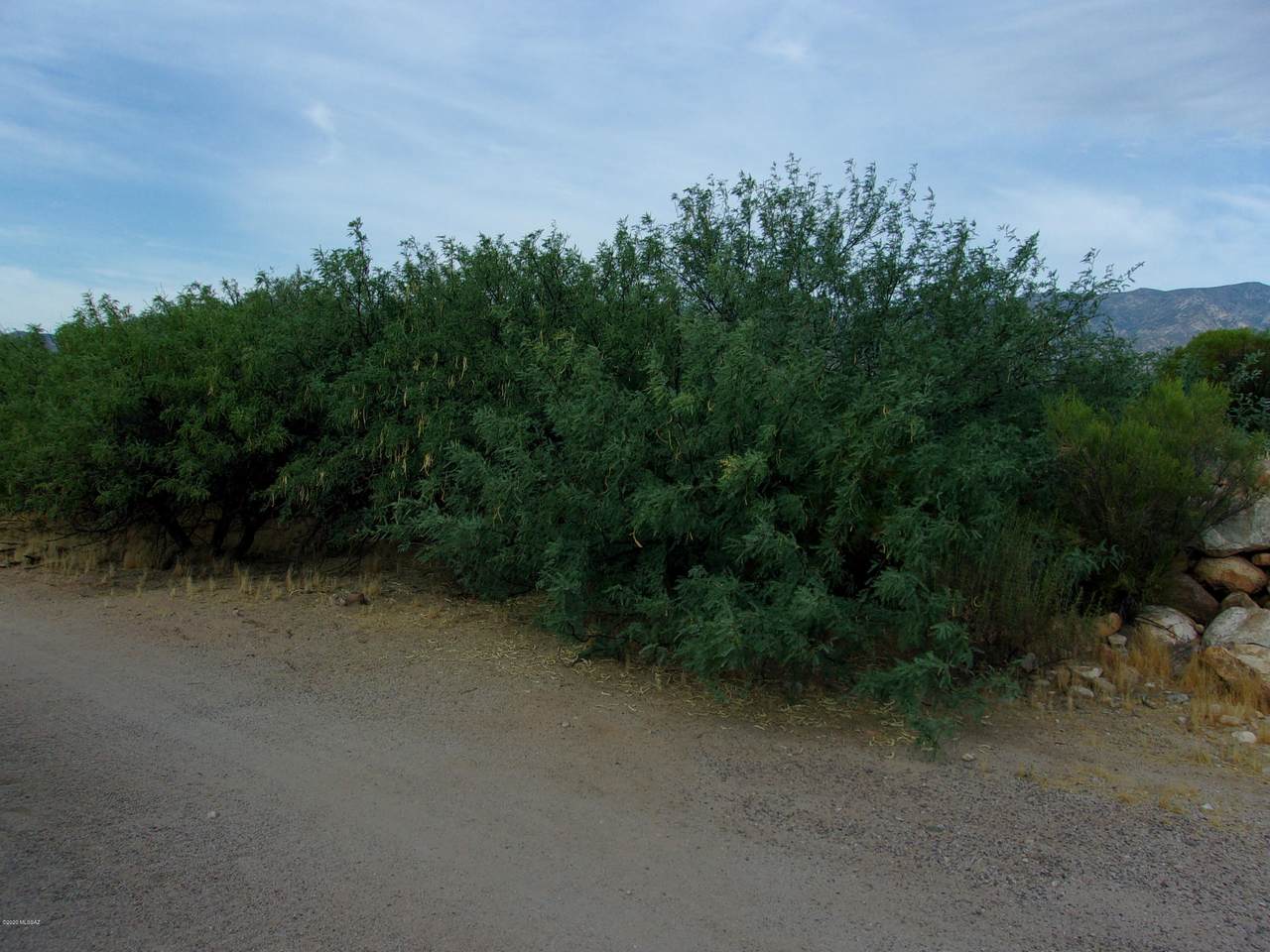 Lot 77 Mohawk Drive - Photo 1