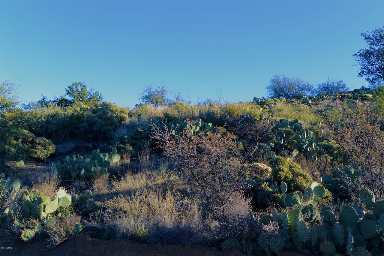 TBD Alto Loma Drive - Photo 1