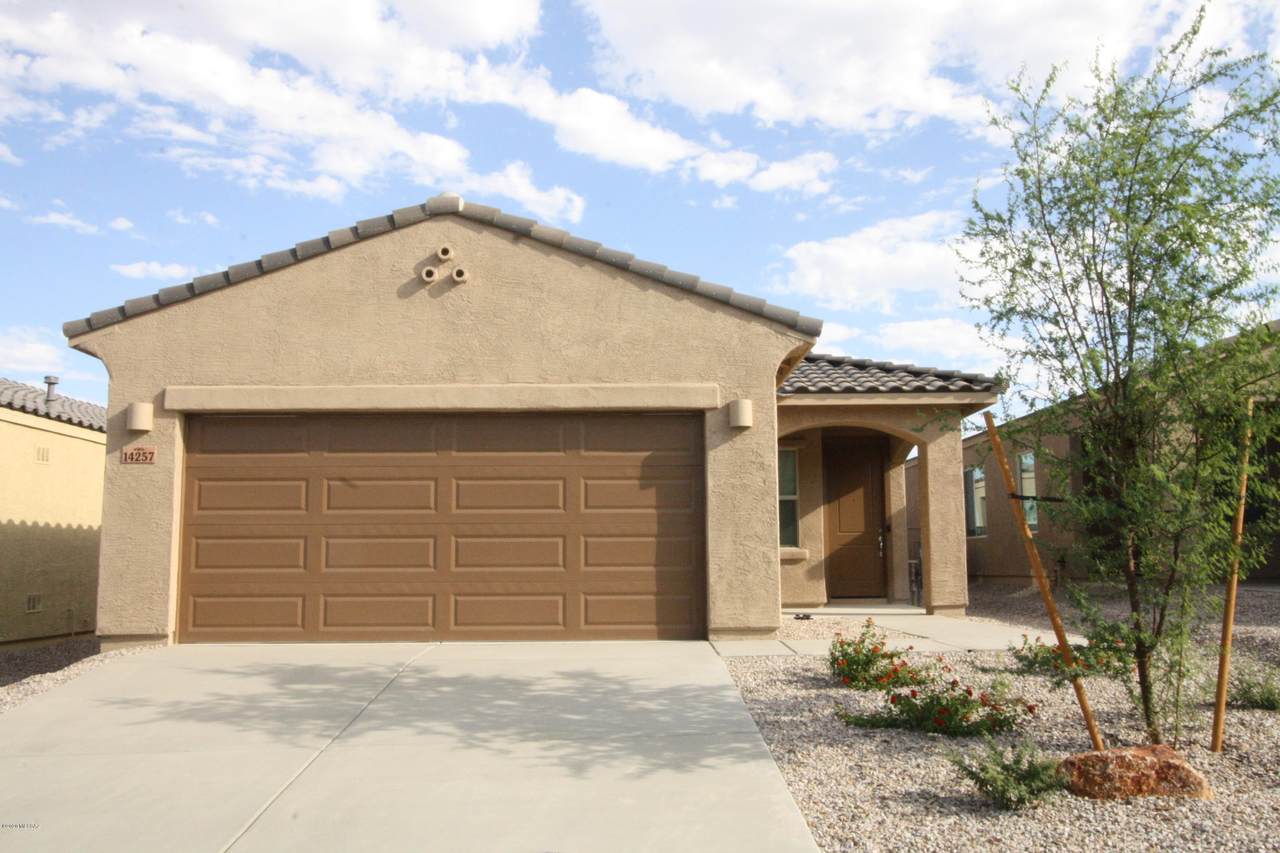 14257 Placita Lago Verde - Photo 1