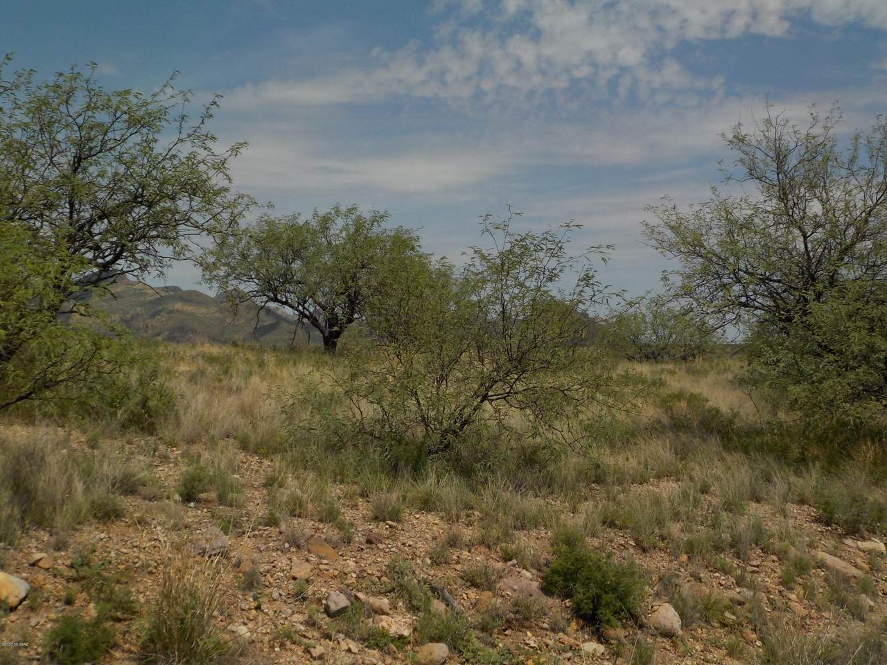736 Arnoldo Court - Photo 1