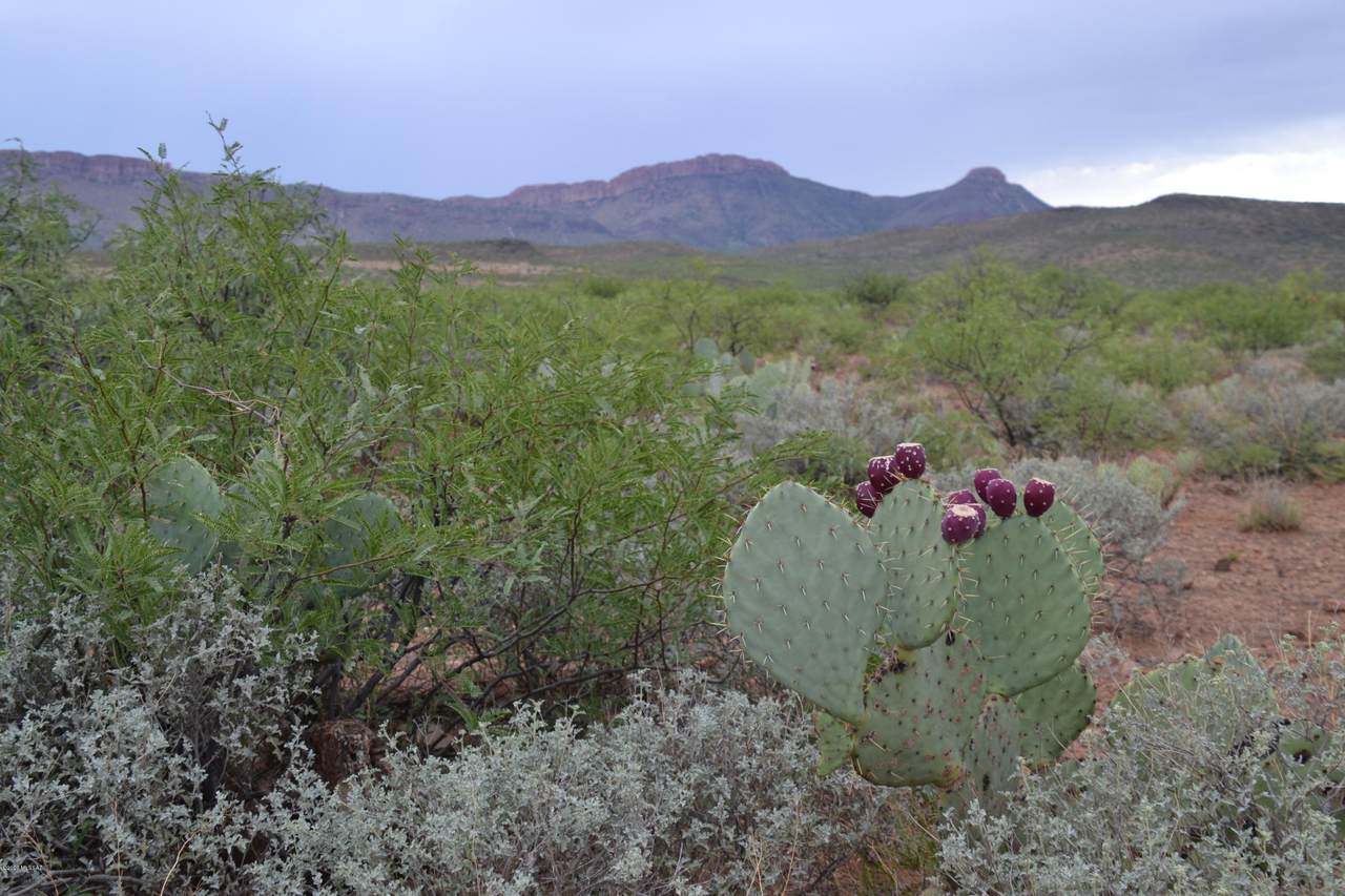TBD Silver Creek Ranch - Photo 1