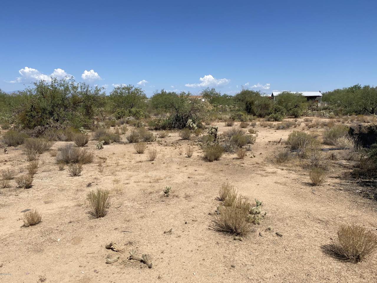 8675 Taylor Lane - Photo 1